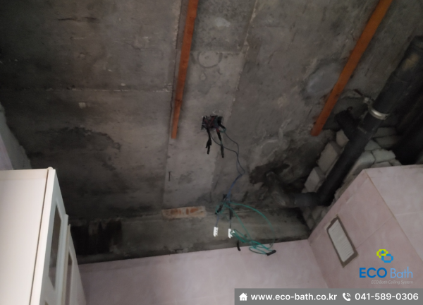 077ca667471639e5512f568d36c32061_1748391447_3195.png